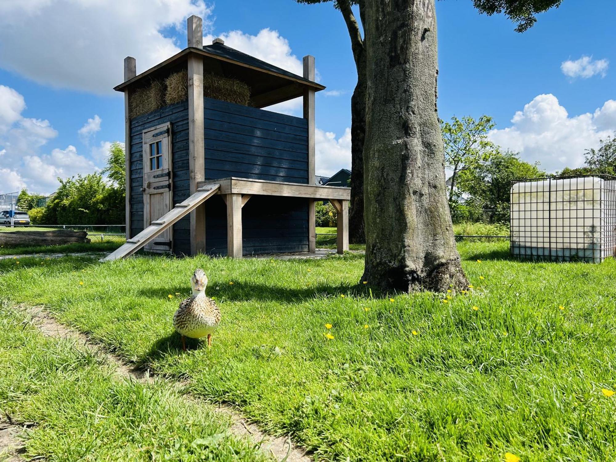 Bungalowpark De Horn - Floresta 215 Dirkshorn Esterno foto